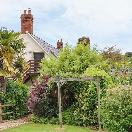 Apartmán Fig Trees - Wibble Farm Williton Exteriér fotografie