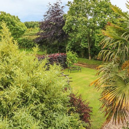 Apartmán Fig Trees - Wibble Farm Williton Exteriér fotografie