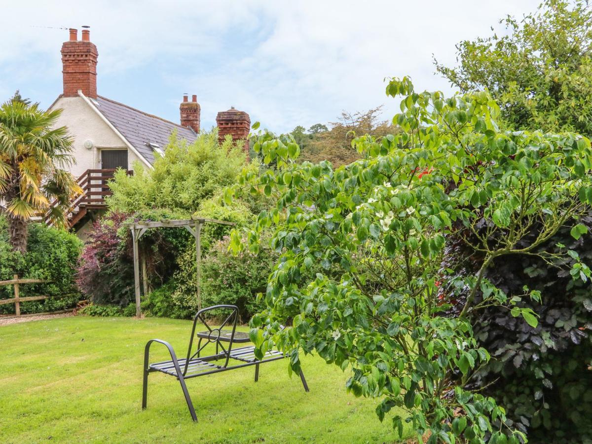 Apartmán Fig Trees - Wibble Farm Williton Exteriér fotografie