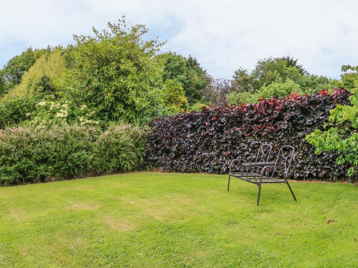 Apartmán Fig Trees - Wibble Farm Williton Exteriér fotografie