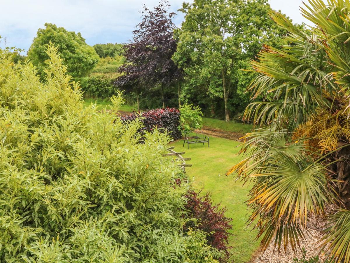 Apartmán Fig Trees - Wibble Farm Williton Exteriér fotografie